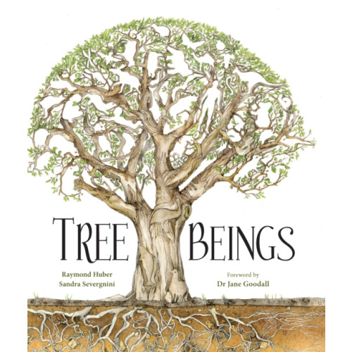 Exisle Publishing Tree Beings (inbunden, eng)