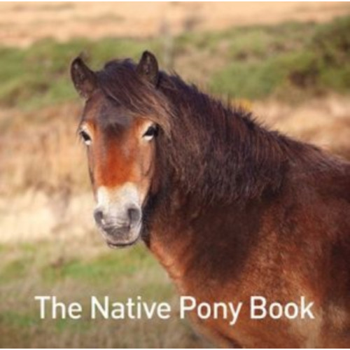 Graffeg Limited The Native Pony Book (inbunden, eng)