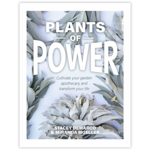 Rockpool Publishing Plants of Power (inbunden, eng)