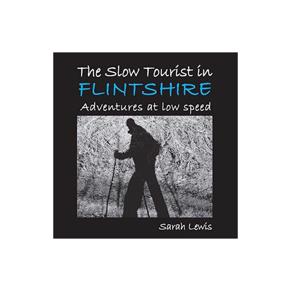 Produktbild för The Slow Tourist in Flintshir (häftad, eng)