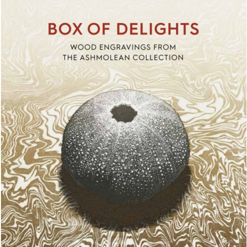 Ashmolean Museum Box of Delights (häftad, eng)