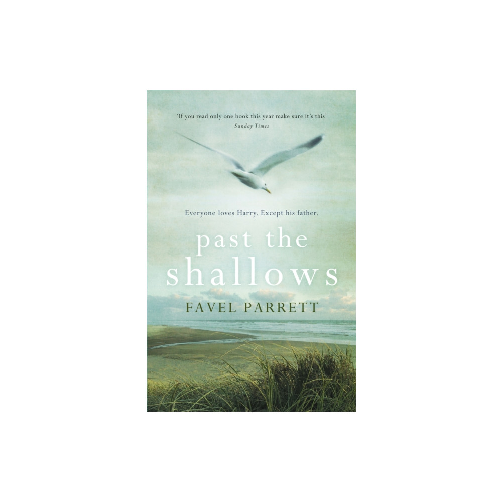 Produktbild för Past the Shallows (häftad, eng)