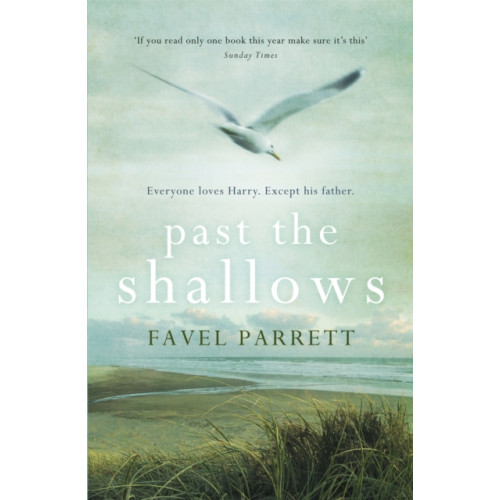 Hodder & Stoughton Past the Shallows (häftad, eng)