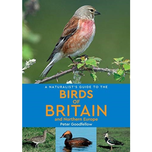 John Beaufoy Publishing Ltd A Naturalist's Guide to the Birds of Britain and Northern Europe (2nd edition) (häftad, eng)