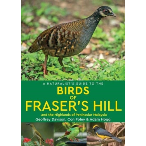 John Beaufoy Publishing Ltd A Naturalist's Guide to the Birds of Fraser's Hill & the Highlands of Peninsular Malaysia (häftad, eng)