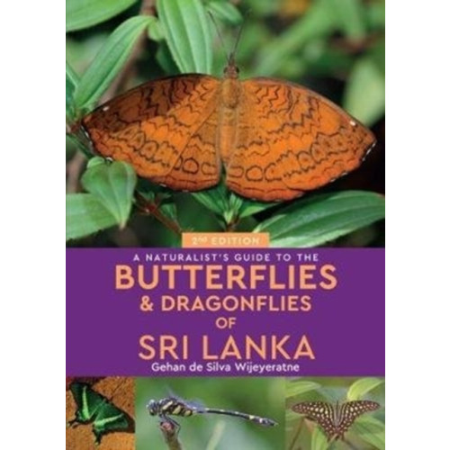 John Beaufoy Publishing Ltd A Naturalist's Guide to the Butterflies of Sri Lanka (2nd edition) (häftad, eng)