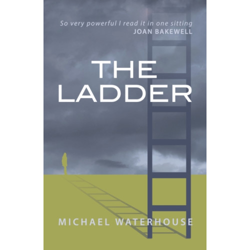 The Conrad Press The Ladder (häftad, eng)