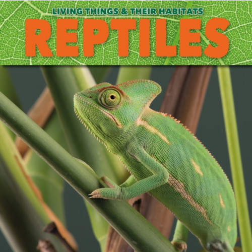 The Secret Book Company Reptiles (häftad, eng)