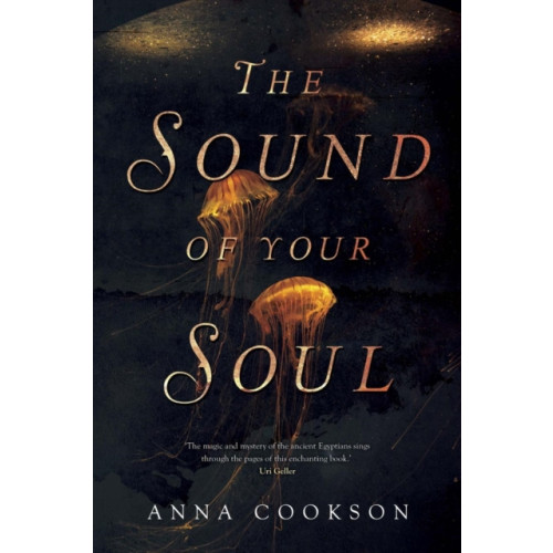 Pegasus Elliot Mackenzie Publishers The Sound of Your Soul (häftad, eng)