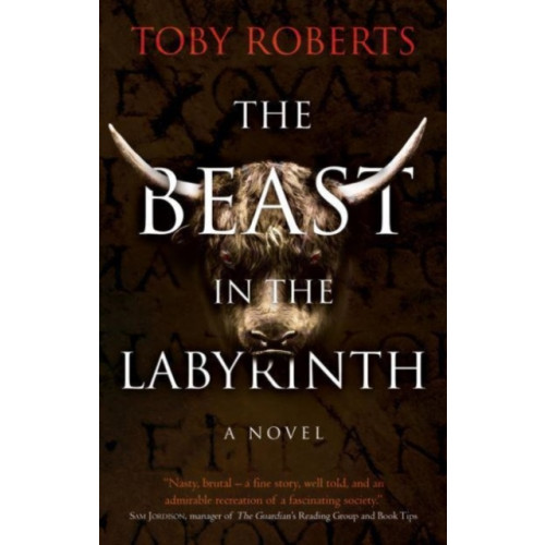 The Book Guild Ltd The Beast in the Labyrinth (inbunden, eng)