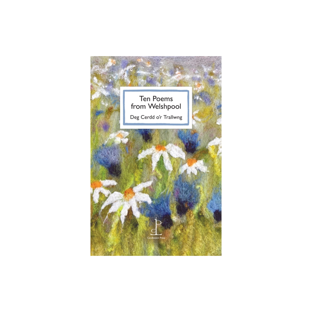 Produktbild för Ten Poems from Welshpool (häftad, eng)