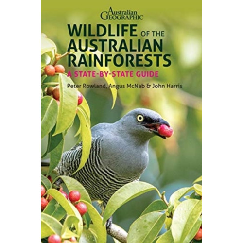 John Beaufoy Publishing Ltd Wildlife of the Australian Rainforests (häftad, eng)