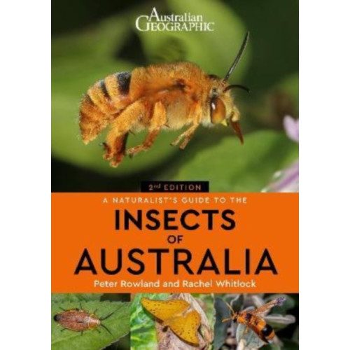 John Beaufoy Publishing Ltd A Naturalist's Guide to the Insects of Australia (häftad, eng)