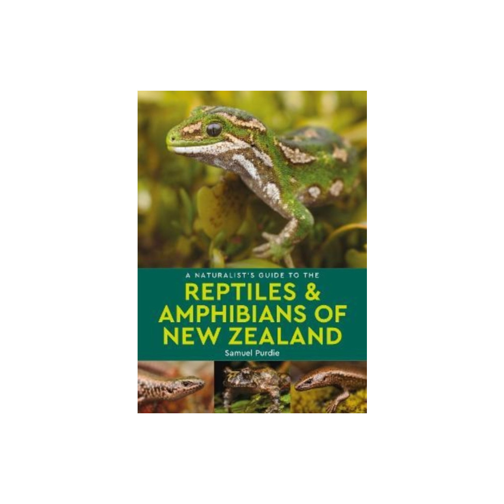 Produktbild för A Naturalist's Guide to the Reptiles & Amphibians Of New Zealand (häftad, eng)