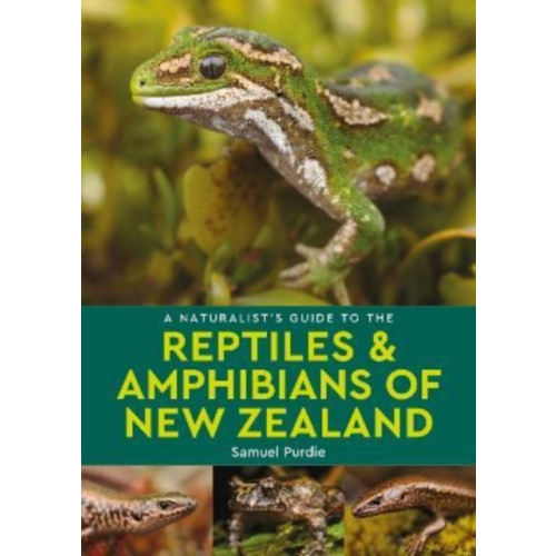 John Beaufoy Publishing Ltd A Naturalist's Guide to the Reptiles & Amphibians Of New Zealand (häftad, eng)