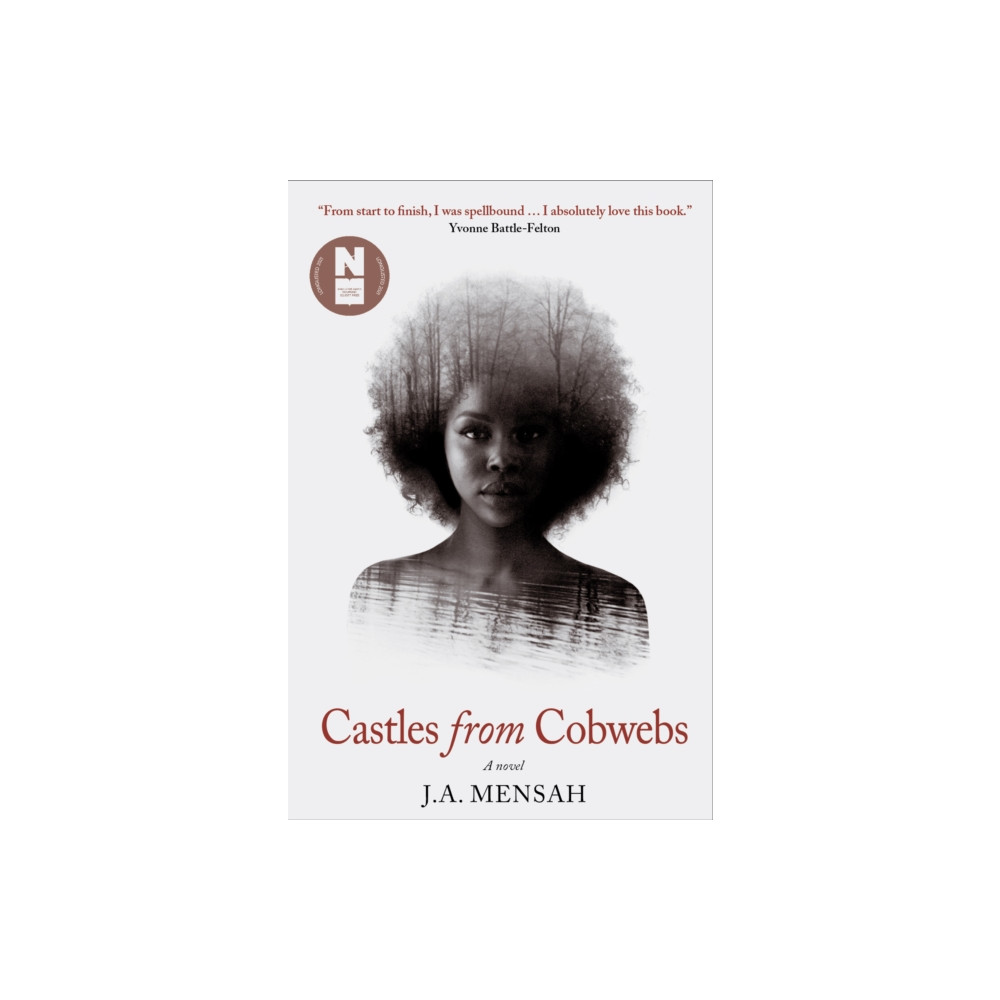 Produktbild för Castles from Cobwebs (inbunden, eng)