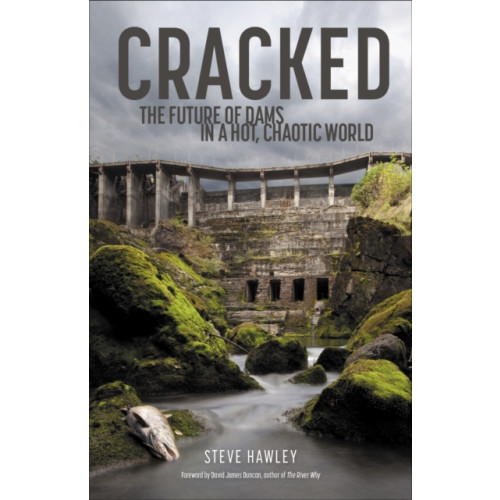 Patagonia Books Cracked (inbunden, eng)