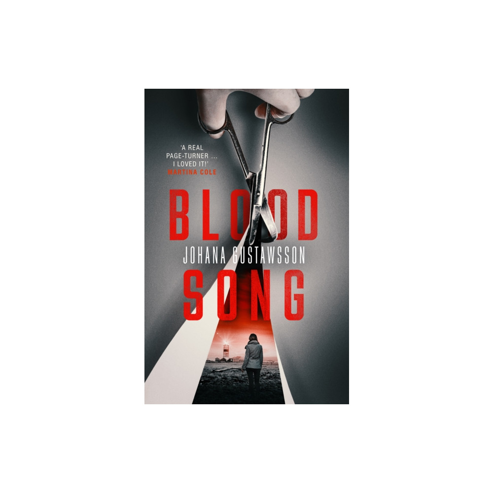 Produktbild för Blood Song (häftad, eng)