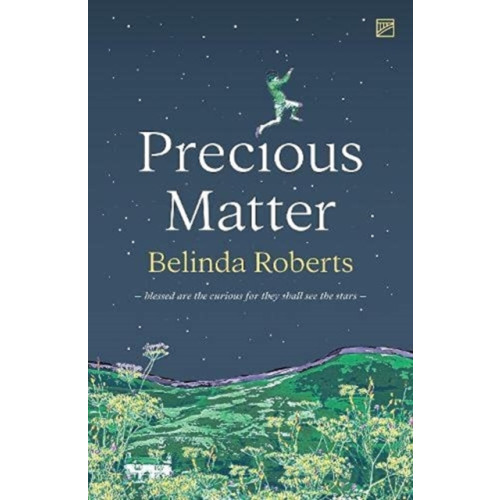 Valley Press Precious Matter (häftad, eng)