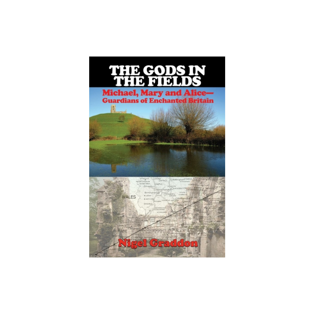 Produktbild för The Gods in the Fields (häftad, eng)