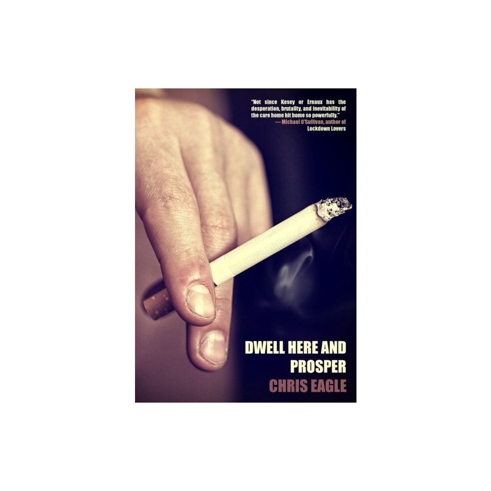 Produktbild för Dwell Here and Prosper (häftad, eng)