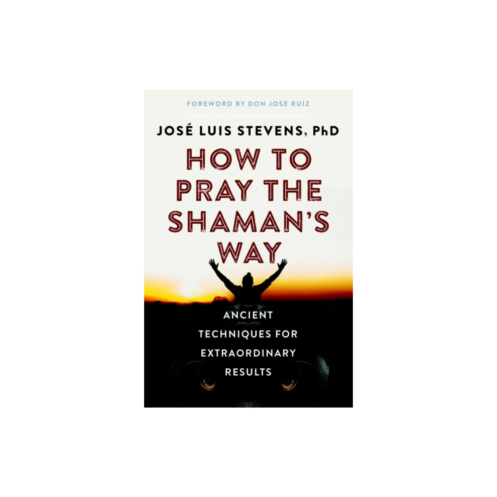 Produktbild för How to Pray the Shaman's Way (häftad, eng)