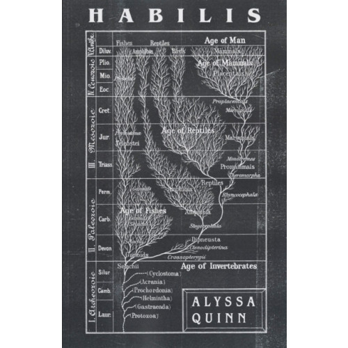 Dzanc Books Habilis (häftad, eng)