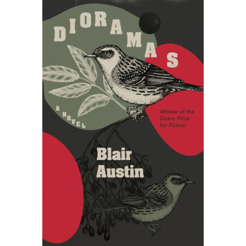 Dzanc Books Dioramas (häftad, eng)