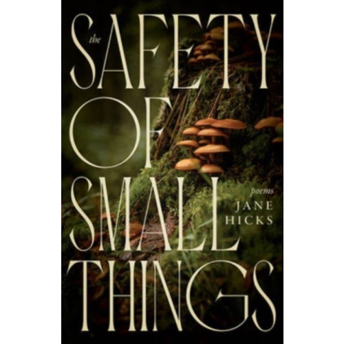 The University Press of Kentucky The Safety of Small Things (häftad, eng)