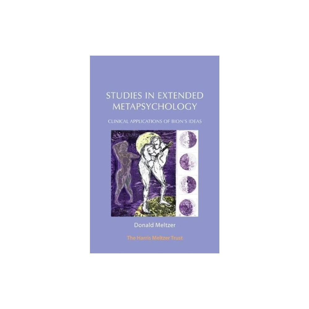 Produktbild för Studies in Extended Metapsychology (häftad, eng)