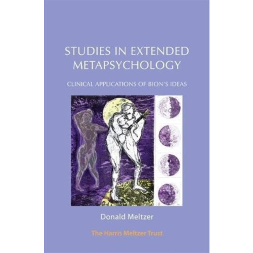 Karnac Books Studies in Extended Metapsychology (häftad, eng)