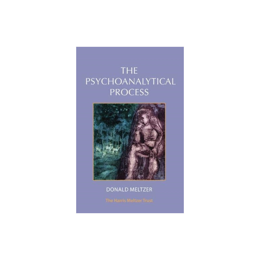 Produktbild för The Psychoanalytical Process (häftad, eng)