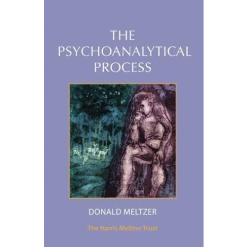 Karnac Books The Psychoanalytical Process (häftad, eng)