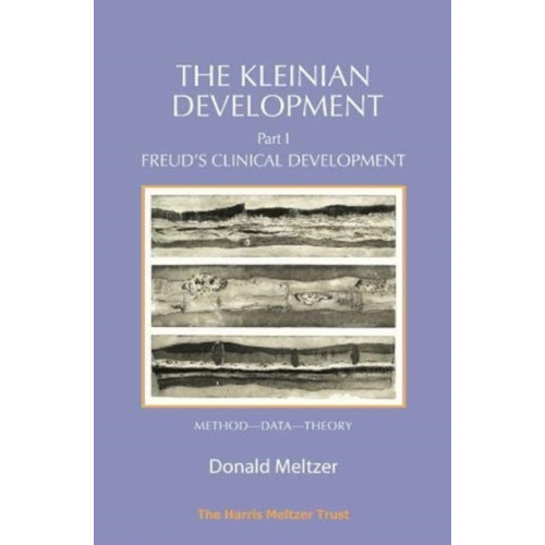 Karnac Books The Kleinian Development Book 1 (häftad, eng)