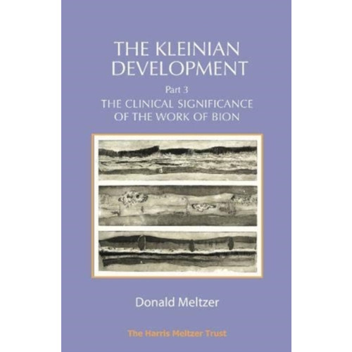 Karnac Books The Kleinian Development Part 3 (häftad, eng)