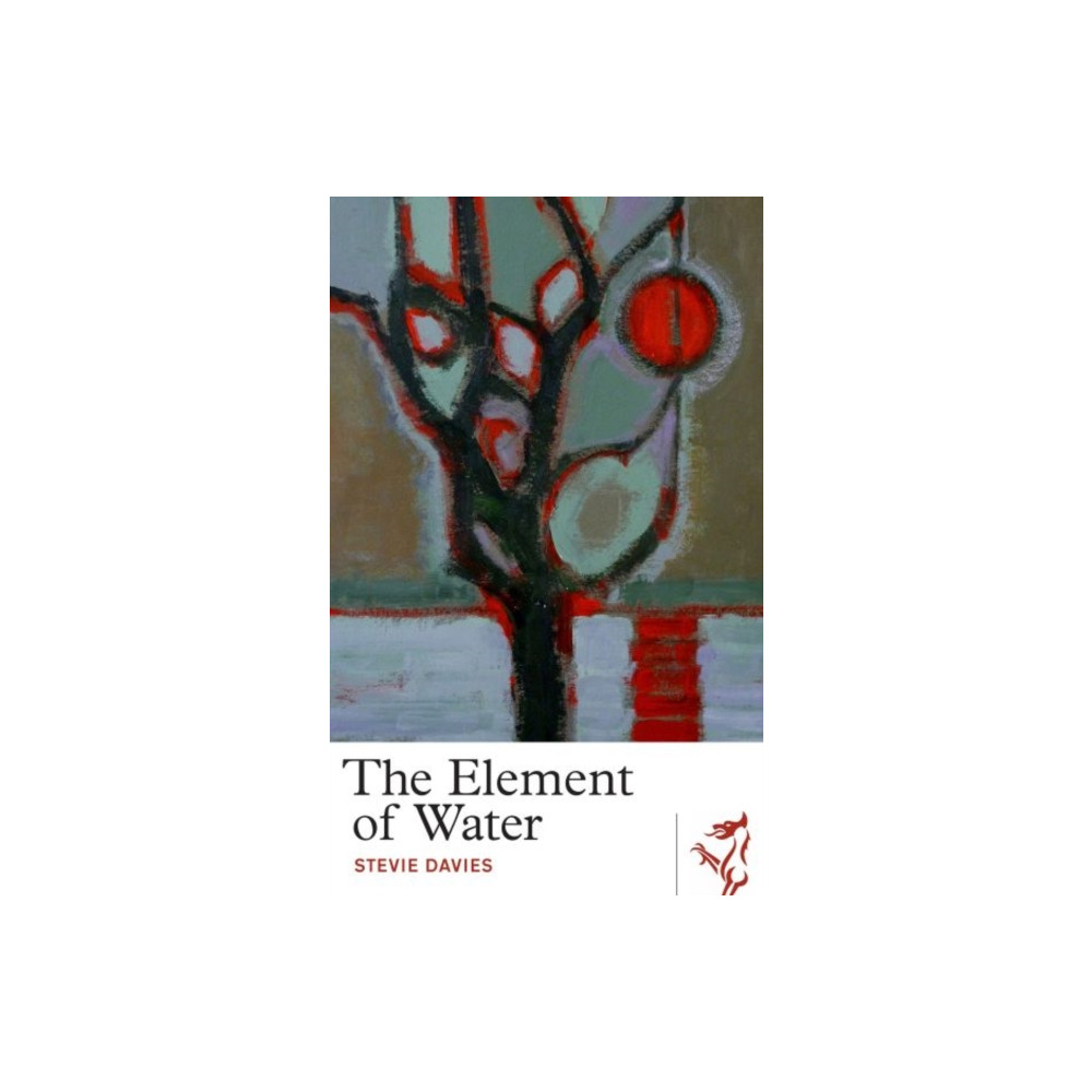 Produktbild för Library of Wales: Element of Water, The (häftad, eng)