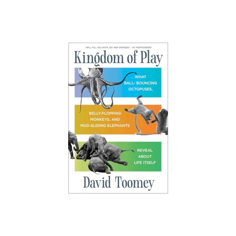 Produktbild för Kingdom of Play (inbunden, eng)