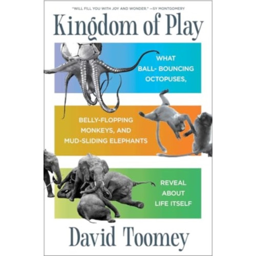 Scribner Kingdom of Play (inbunden, eng)