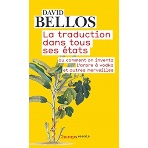 Editions Flammarion La traduction dans tous ses etats (häftad, fre)