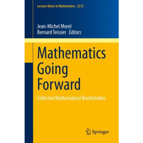 Springer International Publishing AG Mathematics Going Forward (häftad, eng)