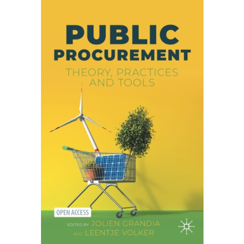 Springer International Publishing AG Public Procurement (häftad, eng)