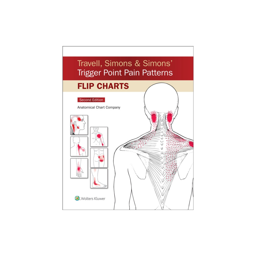 Produktbild för Travell, Simons & Simons’ Trigger Point Pain Patterns Flip Charts (bok, spiral, eng)