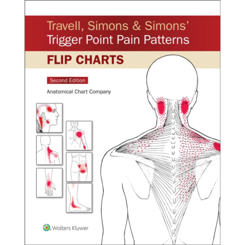 Wolters Kluwer Health Travell, Simons & Simons’ Trigger Point Pain Patterns Flip Charts (bok, spiral, eng)