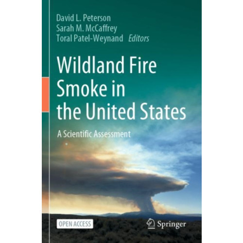 Springer Nature Switzerland AG Wildland Fire Smoke in the United States (häftad, eng)