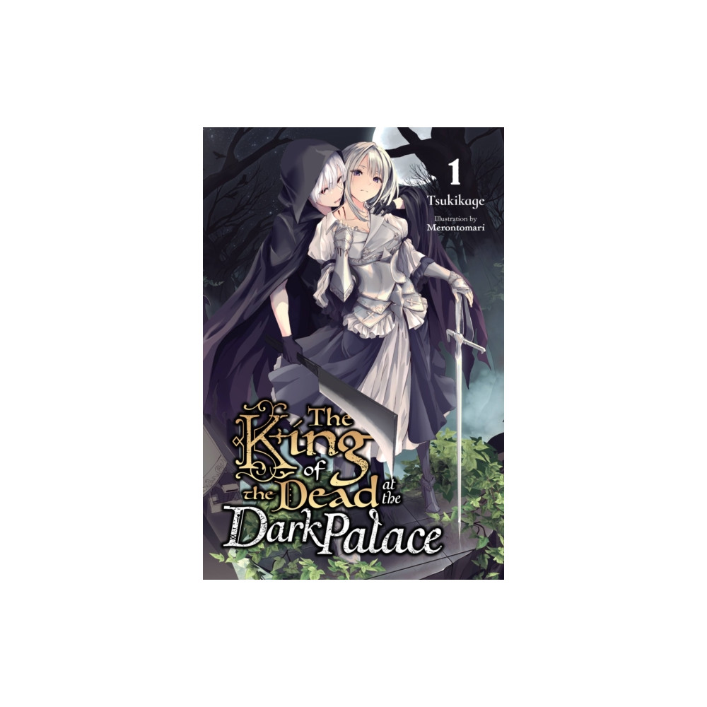 Produktbild för The King of the Dead at the Dark Palace, Vol. 1 (light novel) (häftad, eng)