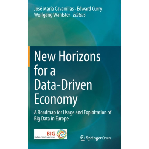 Springer International Publishing AG New Horizons for a Data-Driven Economy (inbunden, eng)