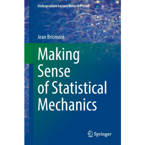 Springer Nature Switzerland AG Making Sense of Statistical Mechanics (häftad, eng)