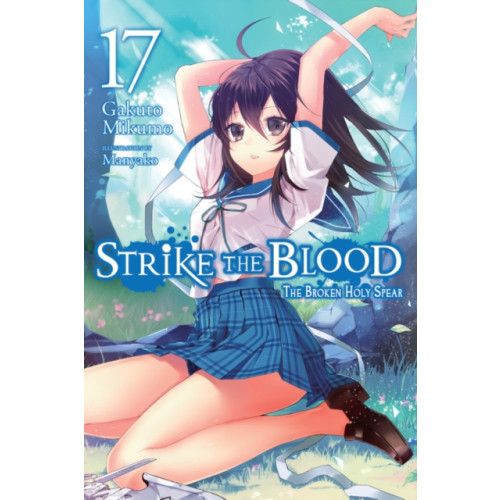 Little, Brown & Company Strike the Blood, Vol. 17 (light novel) (häftad, eng)