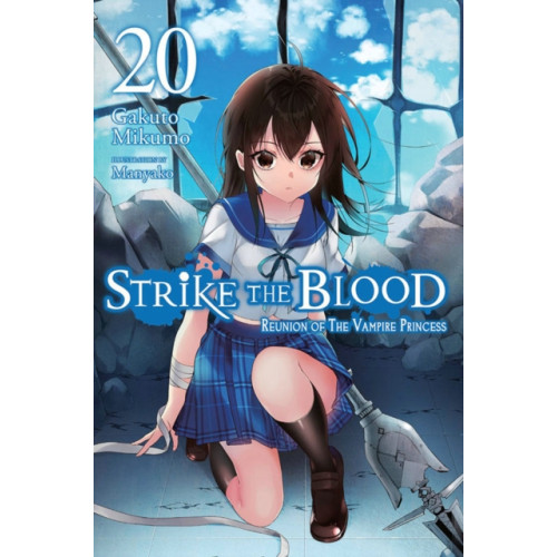 Little, Brown & Company Strike the Blood, Vol. 20 (light novel) (häftad, eng)