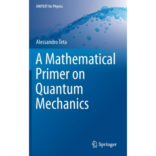 Springer International Publishing AG A Mathematical Primer on Quantum Mechanics (inbunden, eng)